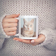 Customized Mugs With Picture