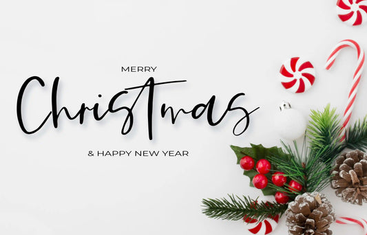 🎄 LizGer Holiday Shipping & Logistics Notice 🎄