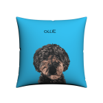 [Flash Sale] Customized Pet Portrait Pillow