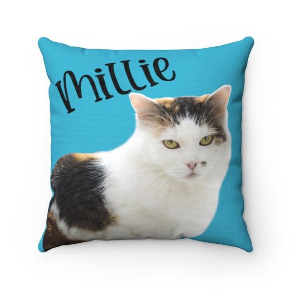 Custom Cat Pillow With Name - Image 3