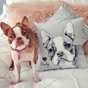 Custom Dog Pillow With Name