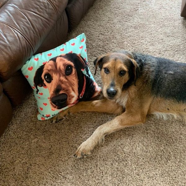 Custom Pet Portrait Pillow - Image 2