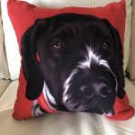 Custom Pet Portrait Pillow - Image 8