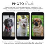 Custom Pet Portrait Pillow - Image 3