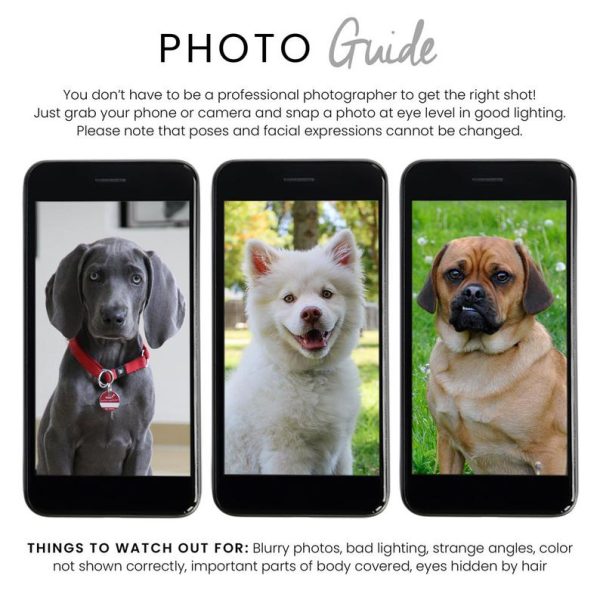 Custom Pet Portrait Pillow - Image 3