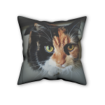 Custom Pillow With Picture - Image 2
