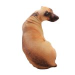 Custom Shape Pet Pillow
