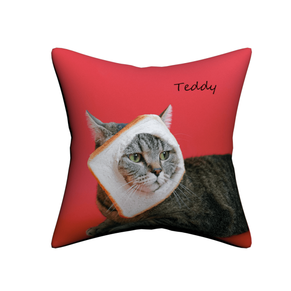 Custom Pet Pillow - Image 7