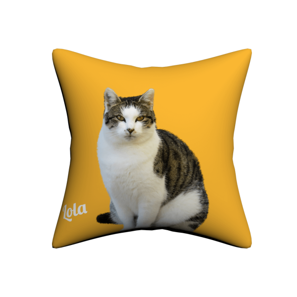 Custom Pet Pillow - Image 2