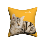 Custom Pet Pillow