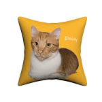 Custom Pet Pillow - Image 3