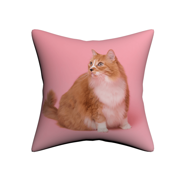 Custom Pet Pillow - Image 5