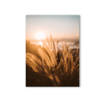 Canvas Prints (From 5*7")