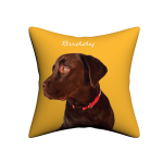 Custom Pet Pillow - Image 9