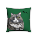 [Flash Sale] Customized Pet Portrait Pillow - Image 9