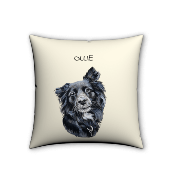 [Flash Sale] Customized Pet Portrait Pillow - Image 11
